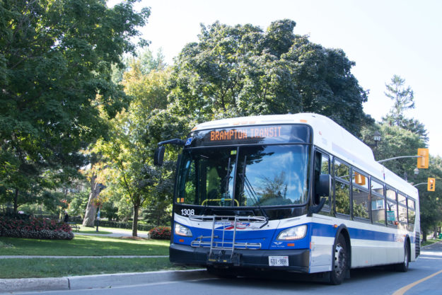 Brampton Transit