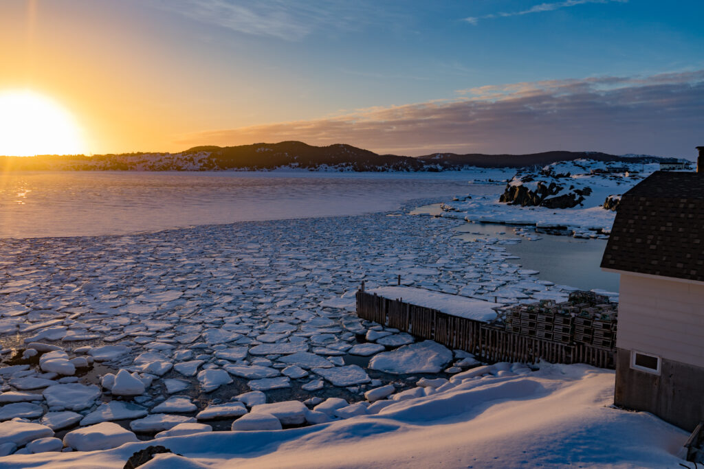 Outport home at shore of frozen Atlantic Ocean bay filled with ice floes with setting winter sun near town of twillingate, Newfoundland, NL, Canada