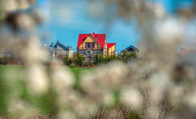 House with red roof through apple blossom on sunny spring day, houses in focus