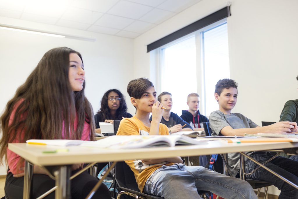 Schoolchildren (12-13, 14-15) sitting in classroom