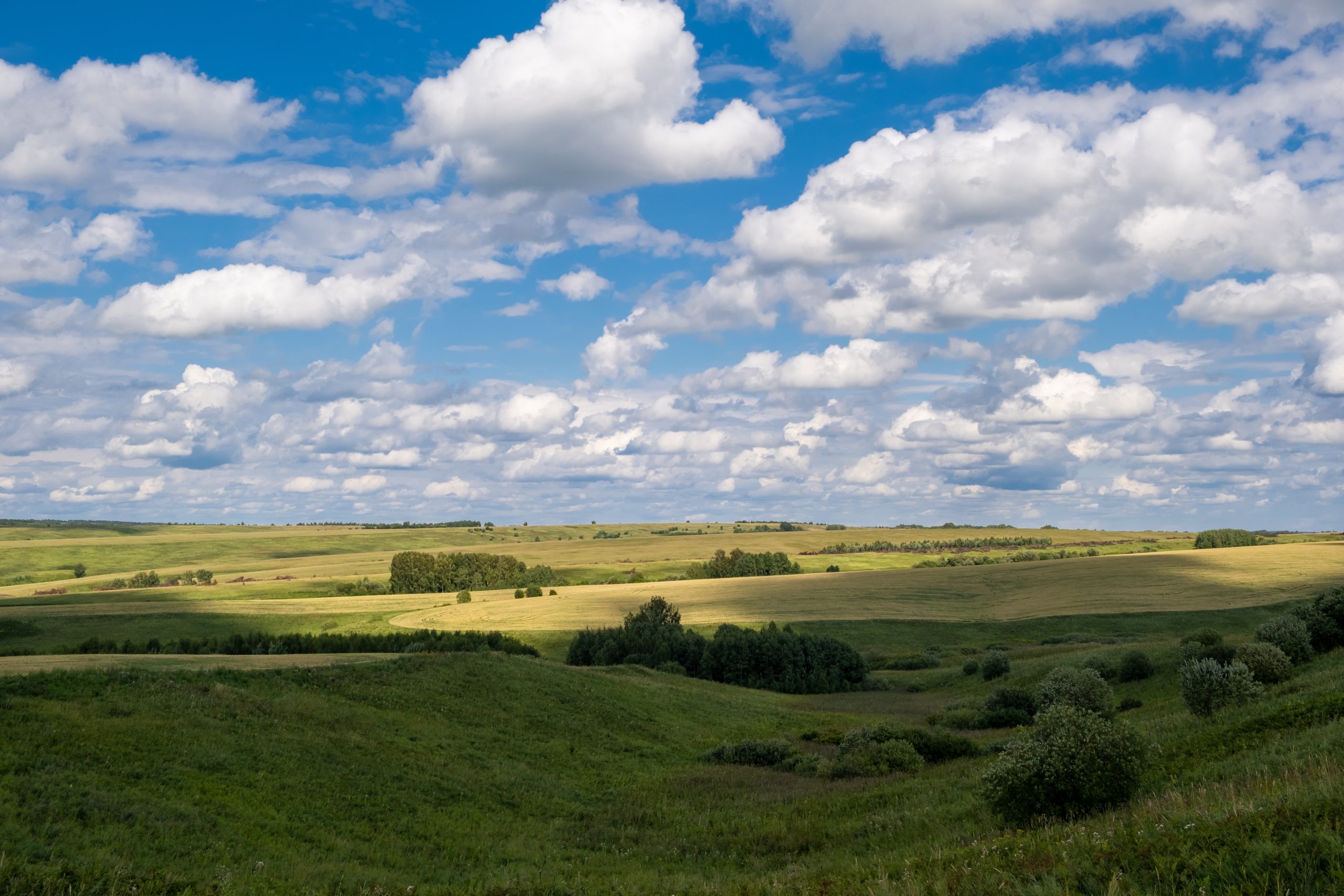 Green grass field on small hills and blue sky with clouds