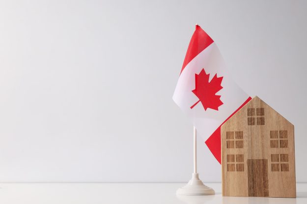 house-and-flag-on-table-against-white-background-2026-03-24-21-35-17-utc (1)