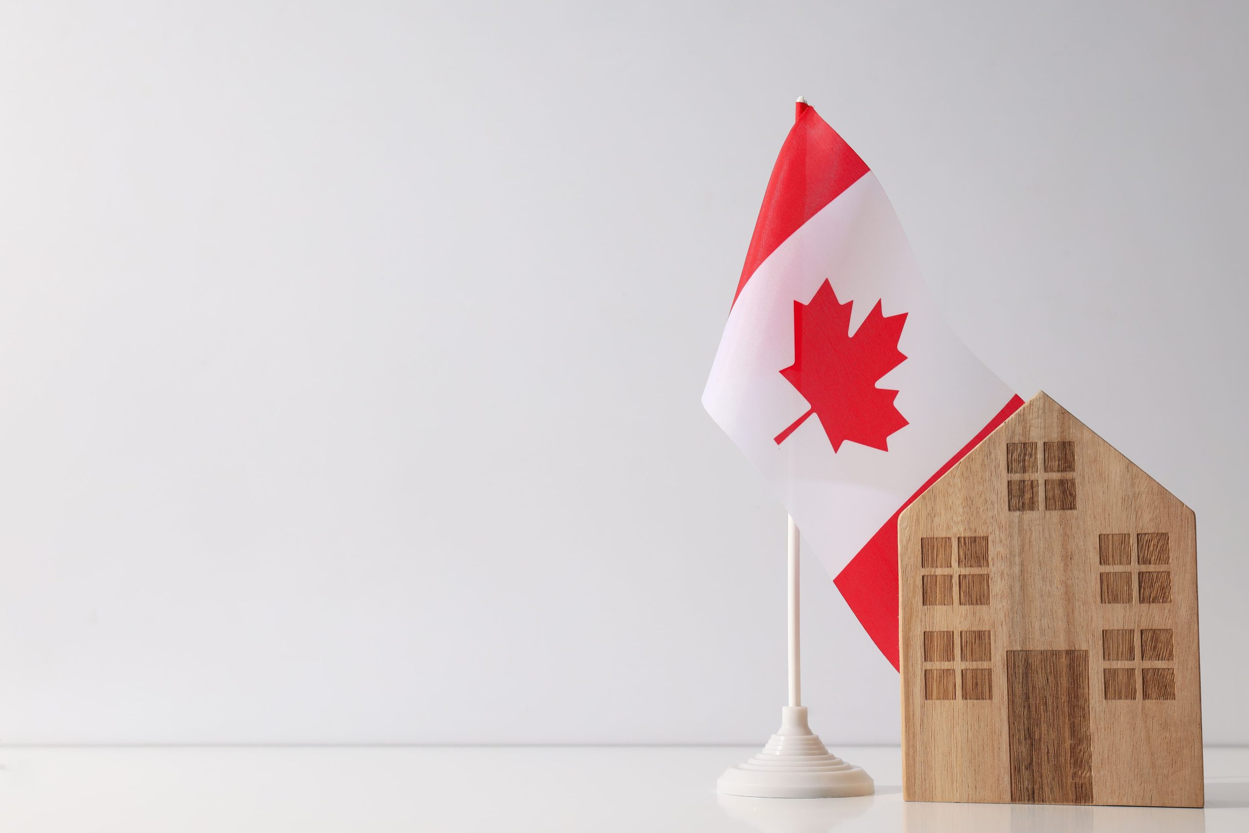house-and-flag-on-table-against-white-background-2026-03-24-21-35-17-utc (1)